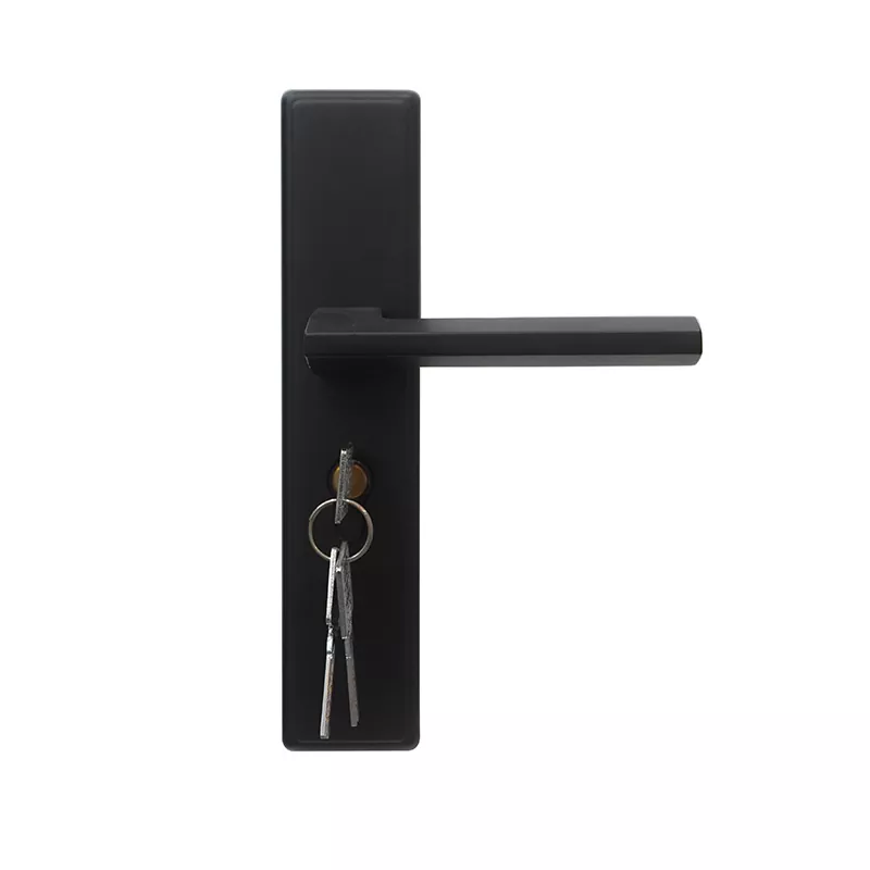 Serrature delle porte